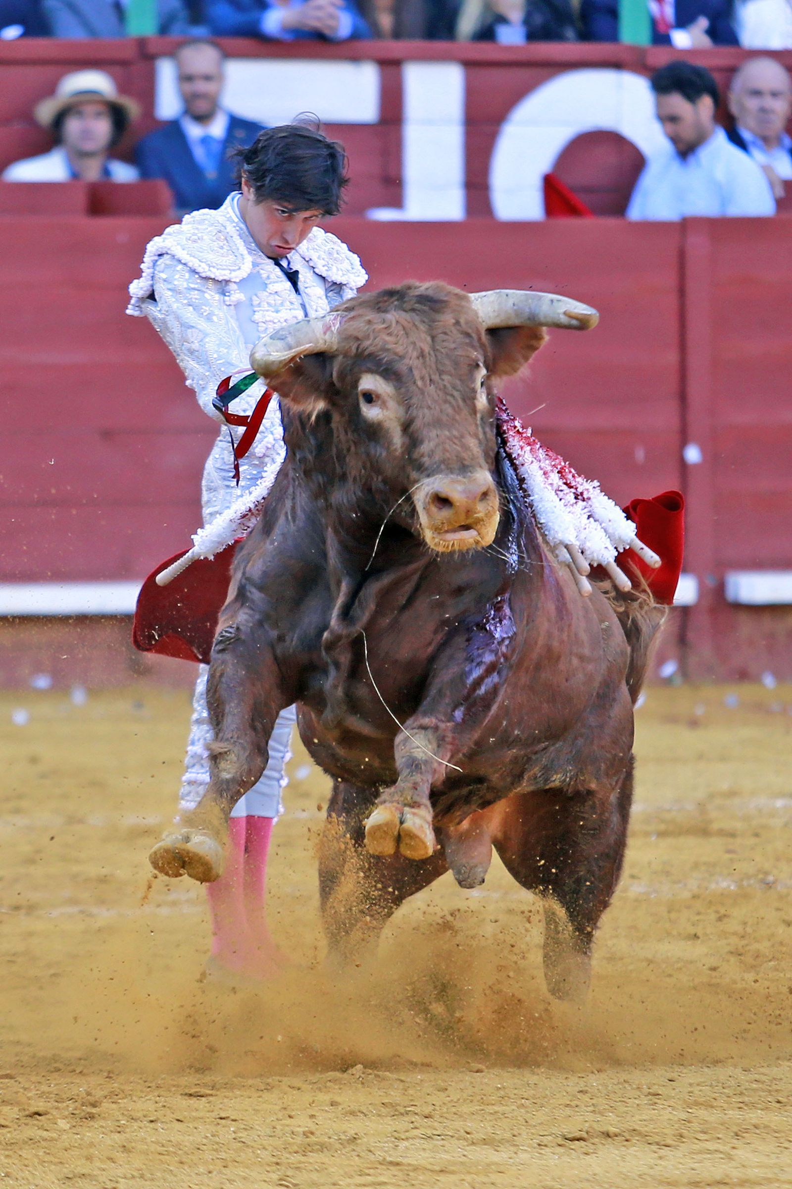 Imágenes de la faena de "El Fandi", Manzanares y Roca Rey en el coso jerezano