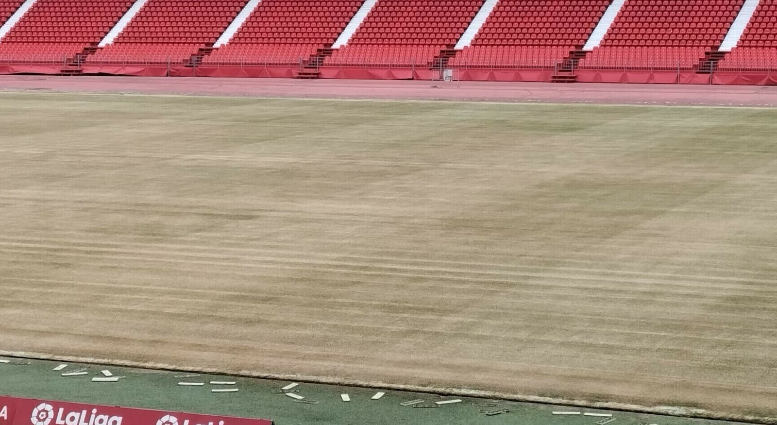 Estado que presenta en la actualidad el césped del Power Horse