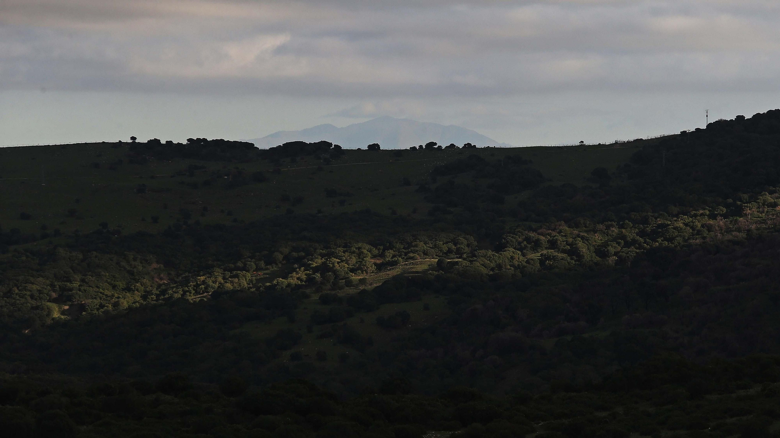 Fotos del sendero del Cerro del Tambor en Algeciras