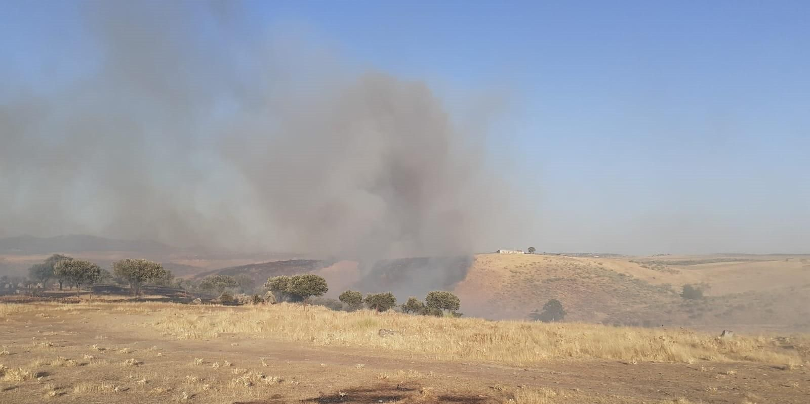 Humo provocado por el incendio forestal de Belalcázar.