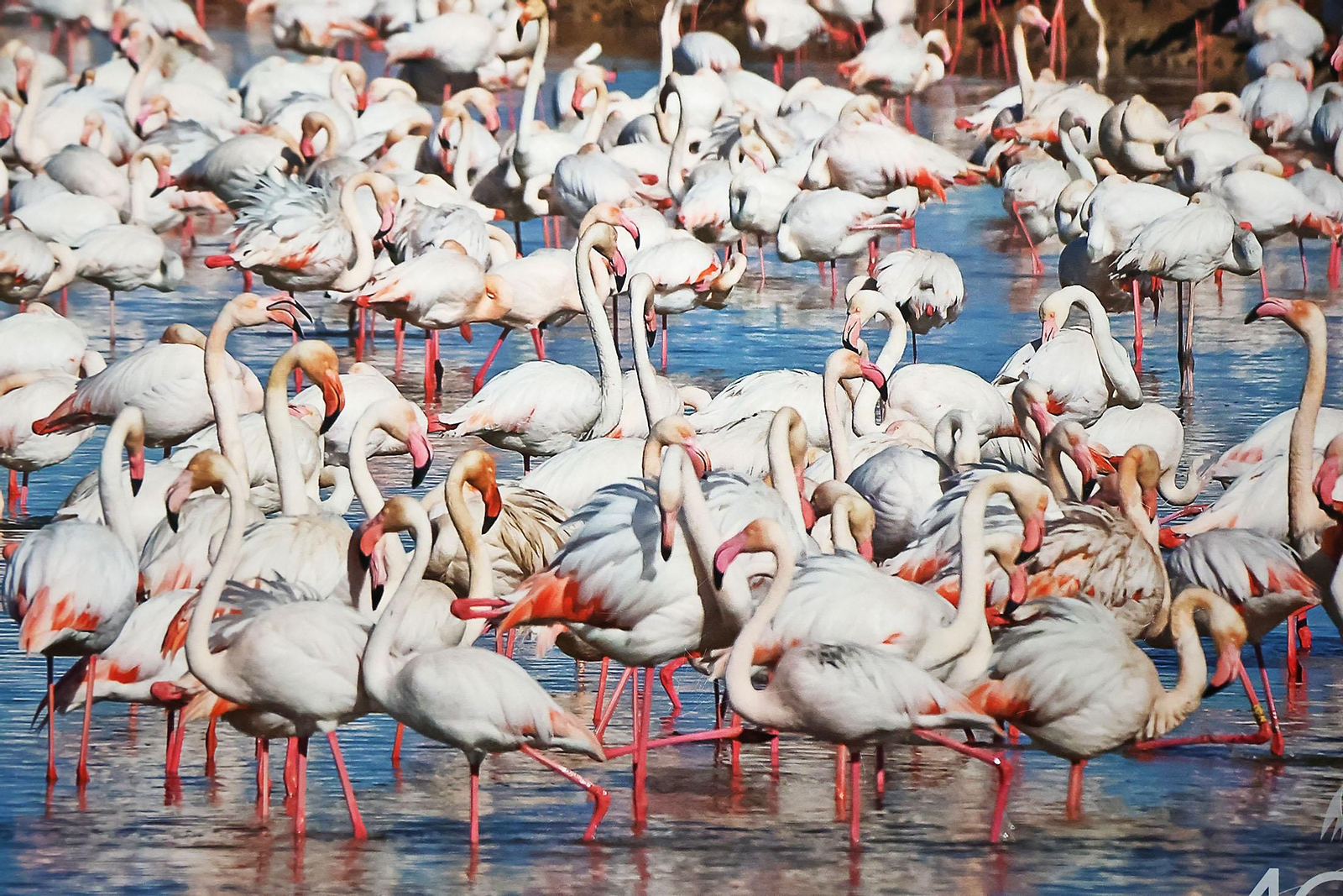 Las imágenes más destacadas del lunes 31 de marzo en Huelva