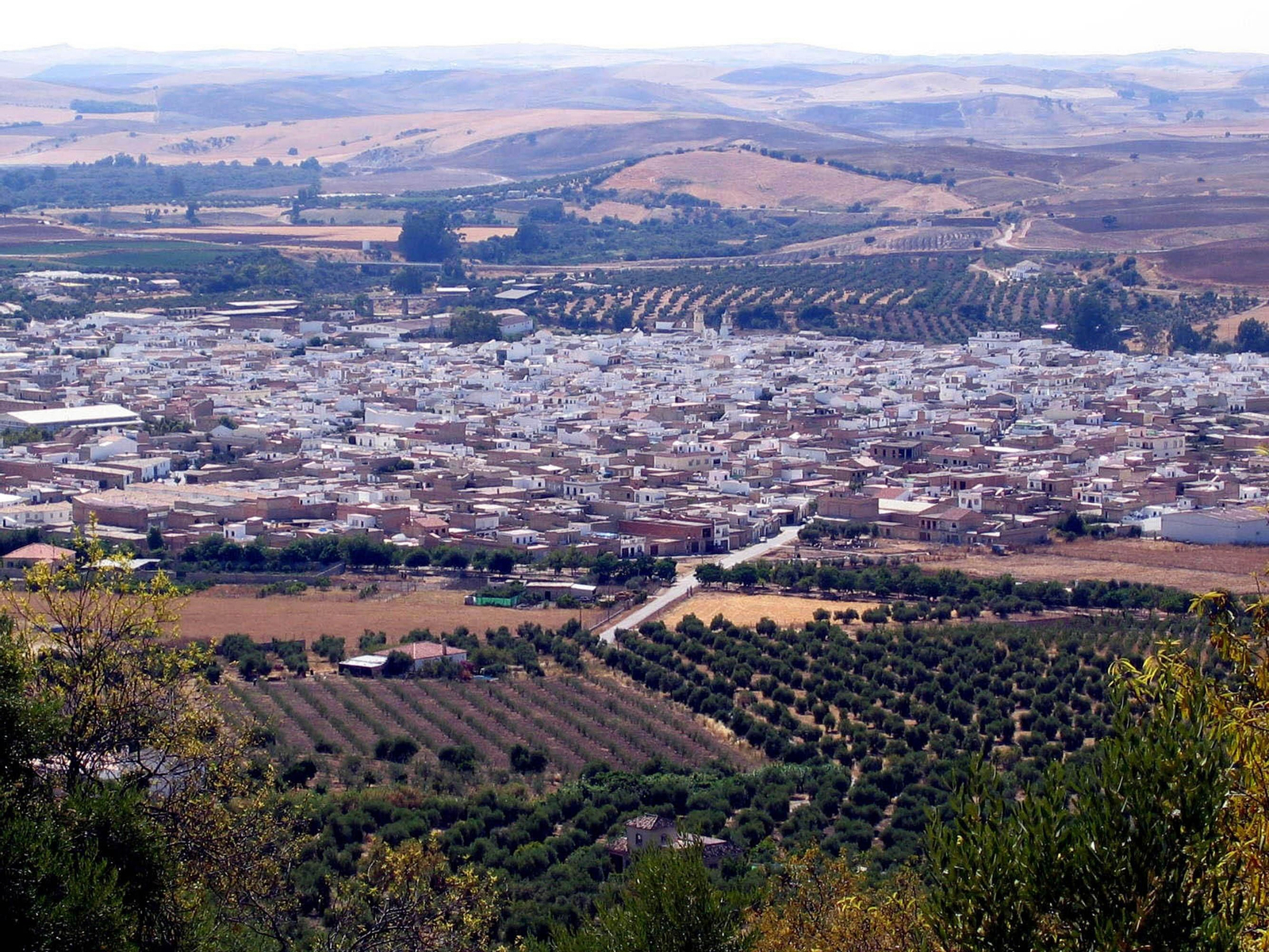 Vistas de Puerto Serrano desde la ermita