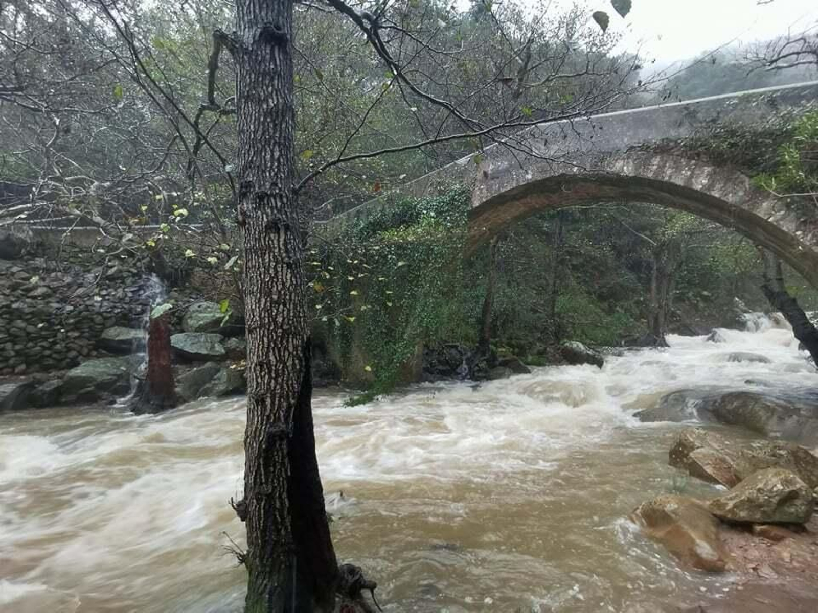 El río de la Miel, bajo el viejo puente de piedra.