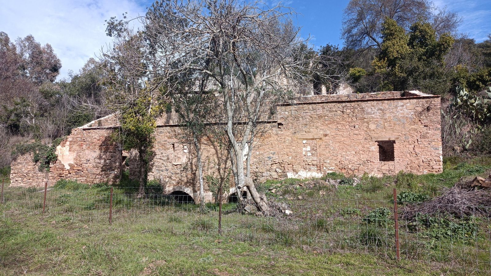 Ruinas del Molino del Francés.