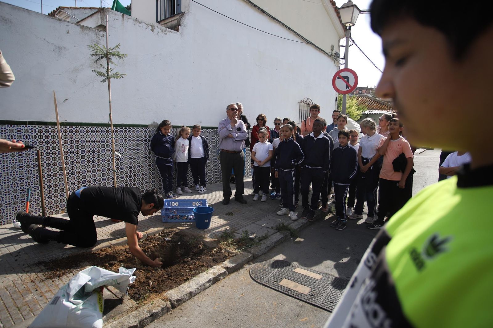 Imágenes la plantación de árboles en la Barriada de la Navidad por alumnos del Colegio Virgen de Belén