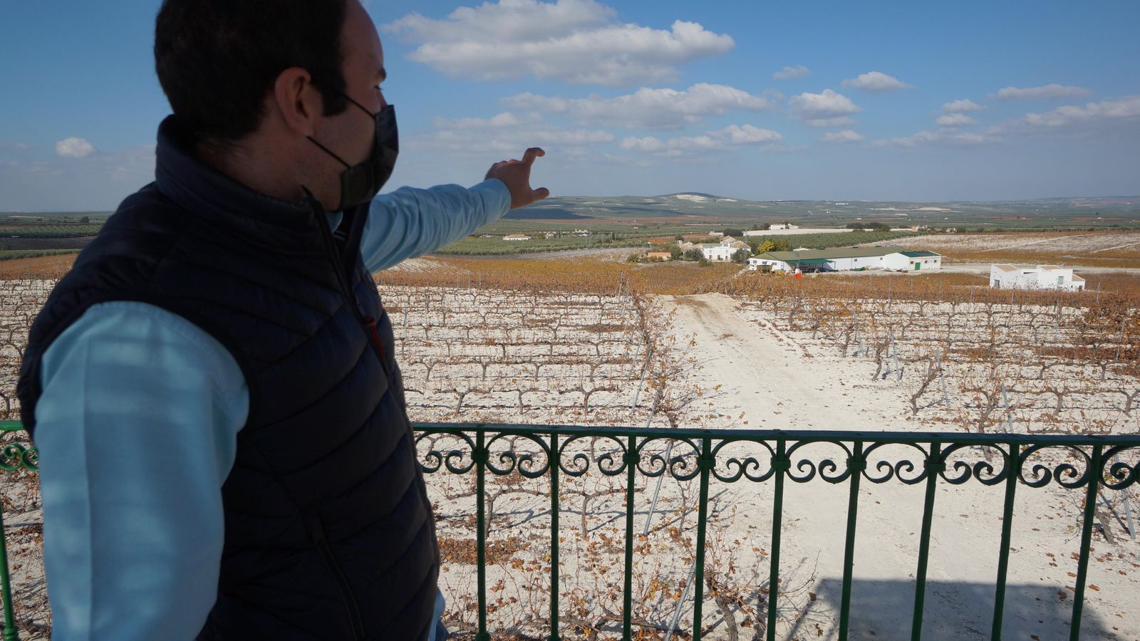 Tierras albarizas en Moriles Alto.