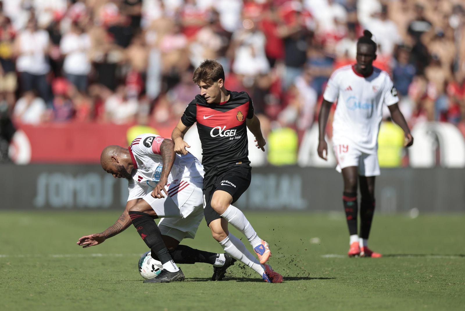 Las fotos del Sevilla FC - Mallorca