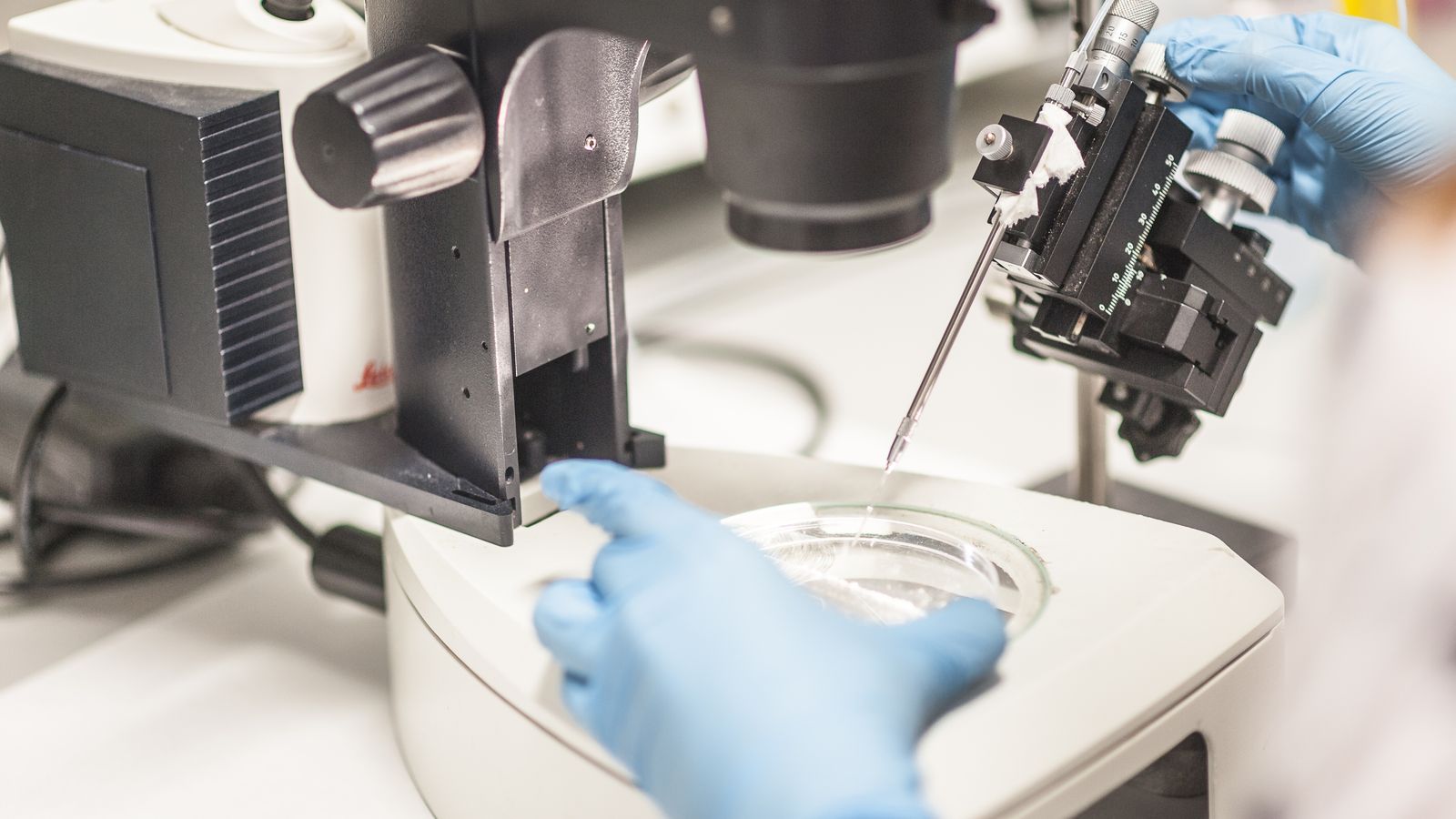 EL VI PLAN PROPIO DE INVESTIGACIÓN Y TRANSFERENCIA 2023-2026 FUE APROBADO POR EL CONSEJO DE GOBIERNO EL PASADO 1 DE FEBRERO