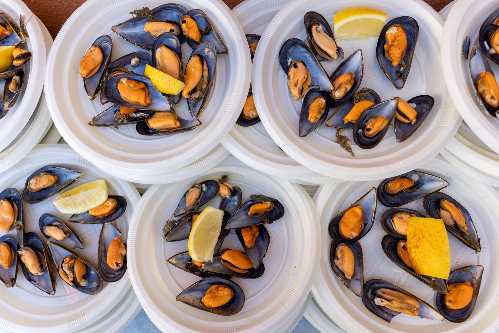 Platos listos para una buena 'Mejilloná'