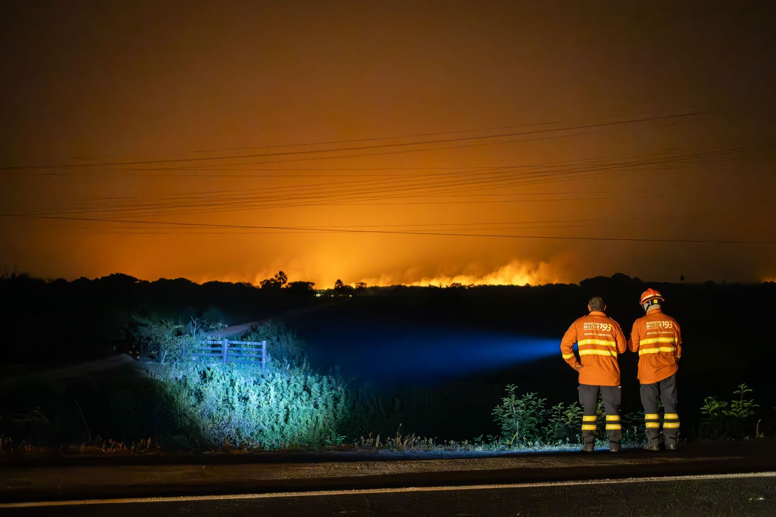 Las llamas convierten en una tumba al aire libre El Pantanal en Brasil