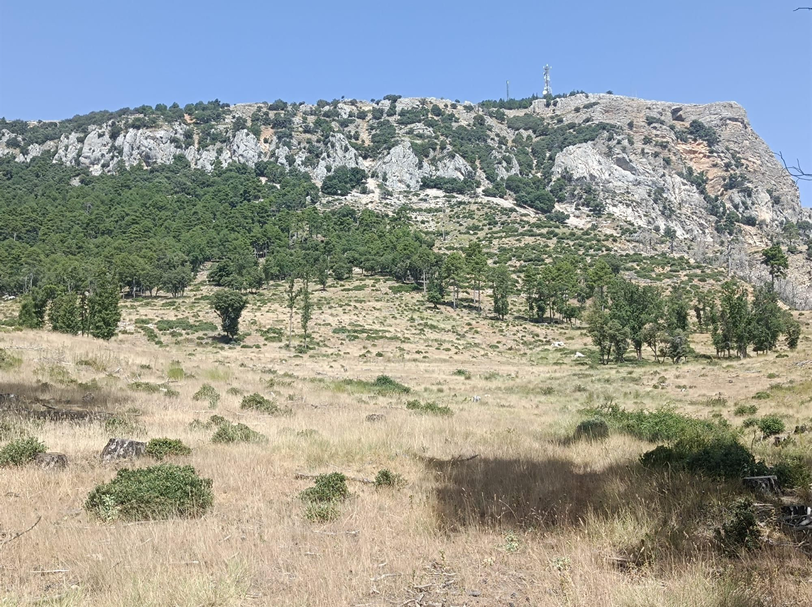 Así se regenera Segura de la Sierra tras el incendio forestal de 2017 Así se regenera Segura de la Sierra tras el incendio forestal de 2017