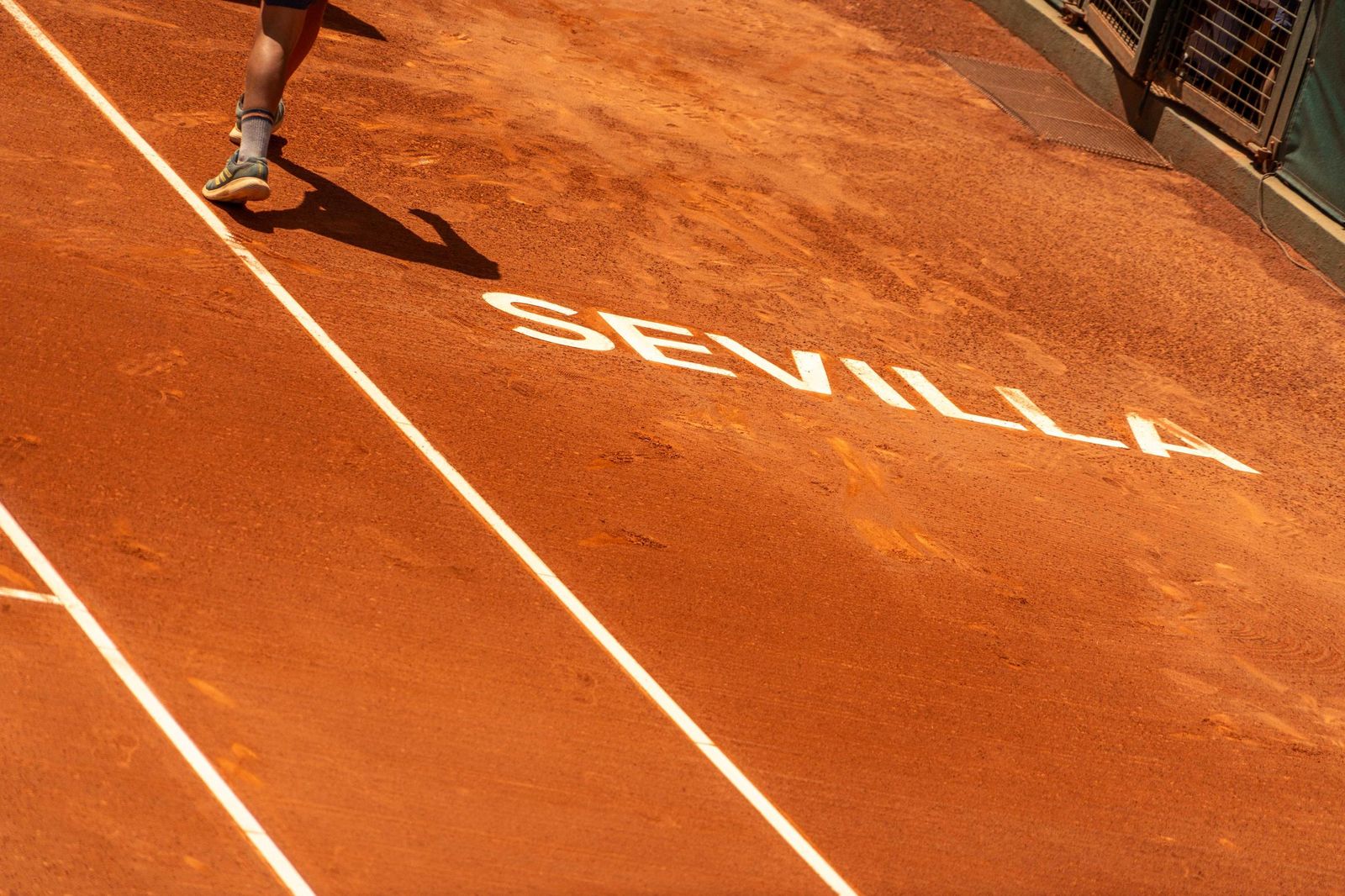 Buse - Taberner (22).jpg