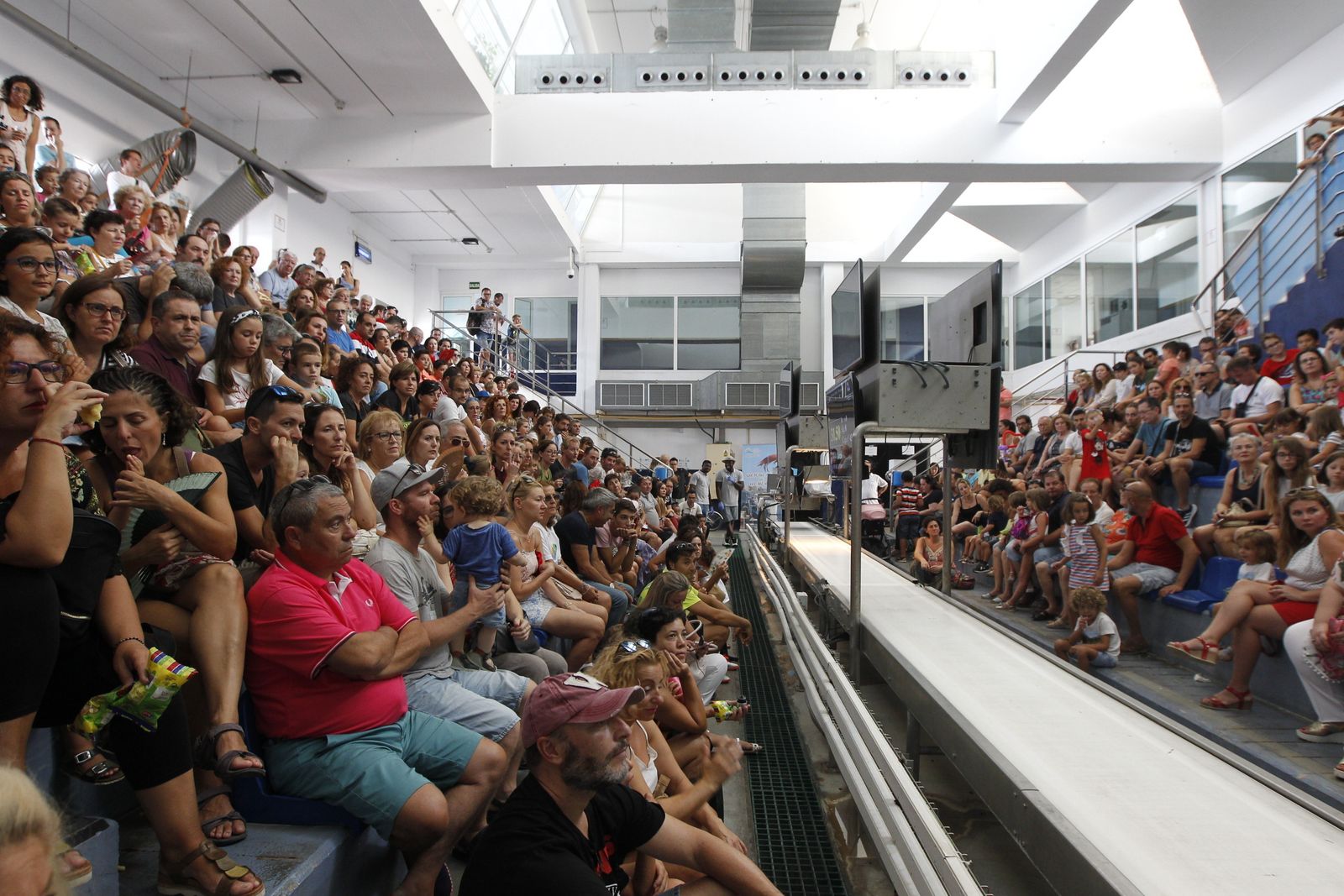 Fotogalería Jornada Puertas Abiertas Puerto Pesquero Almería