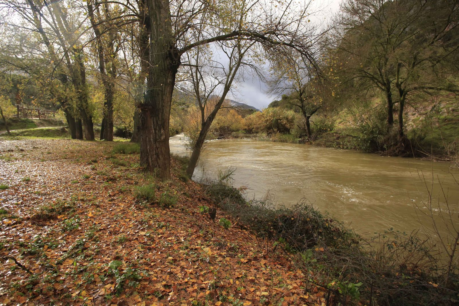 El paisaje dejado por la lluvia, en fotos.