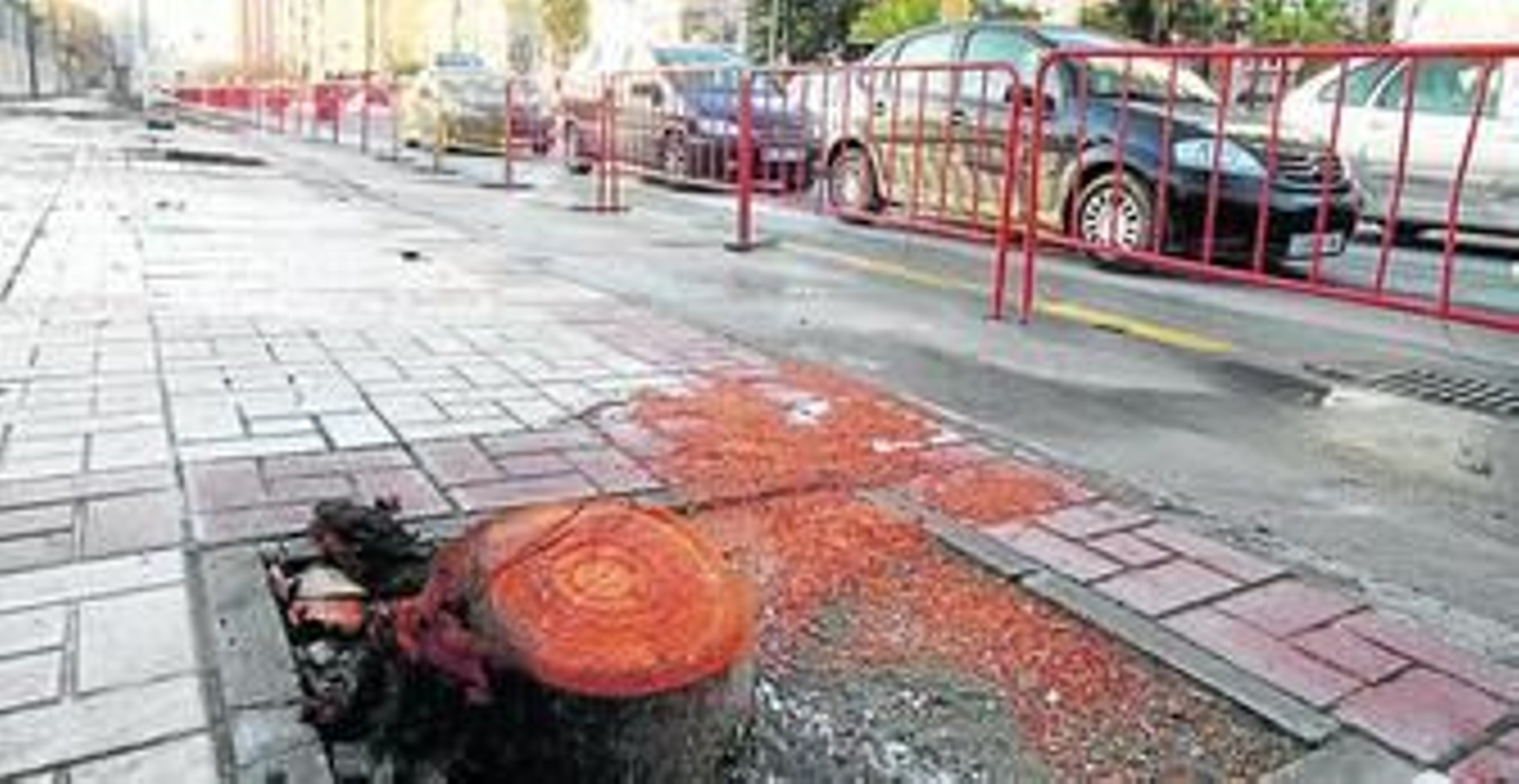 Restos de un árbol talado en la calle Cómpeta, en el trazado de la línea 1 del Metro que conecta el centro con Teatinos.