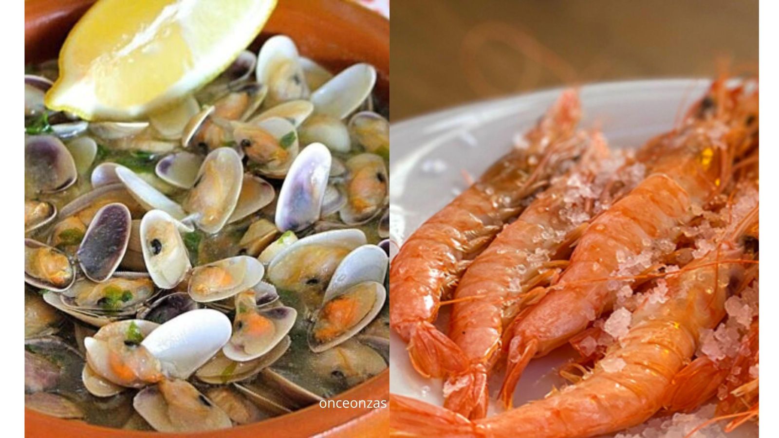 Coquinas y gamba blanca de Huelva