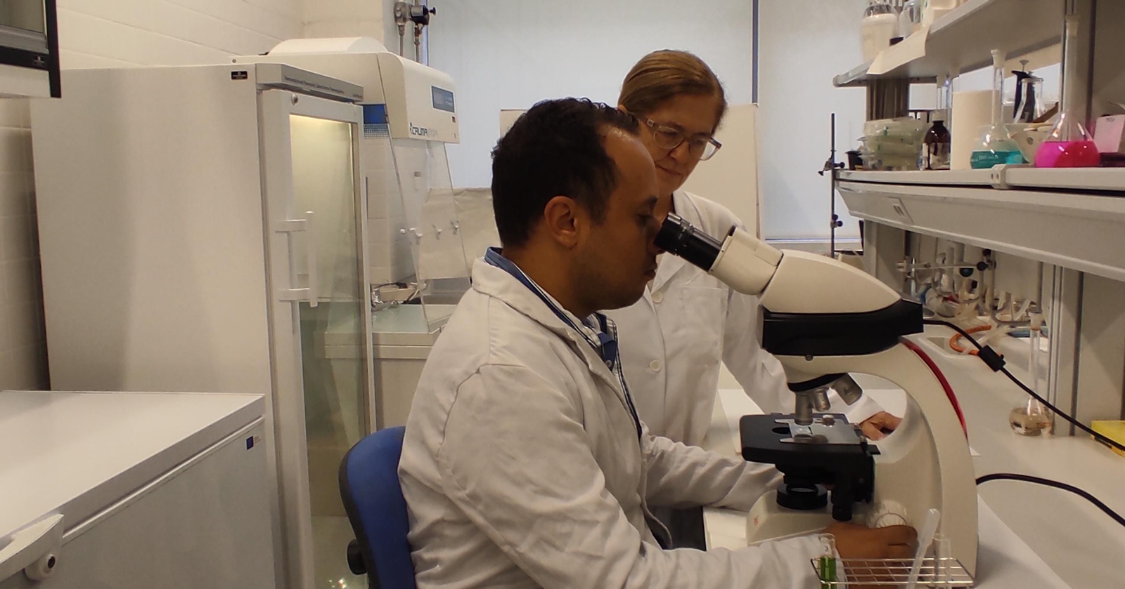 El equipo de investigación de la Universidad jinennense