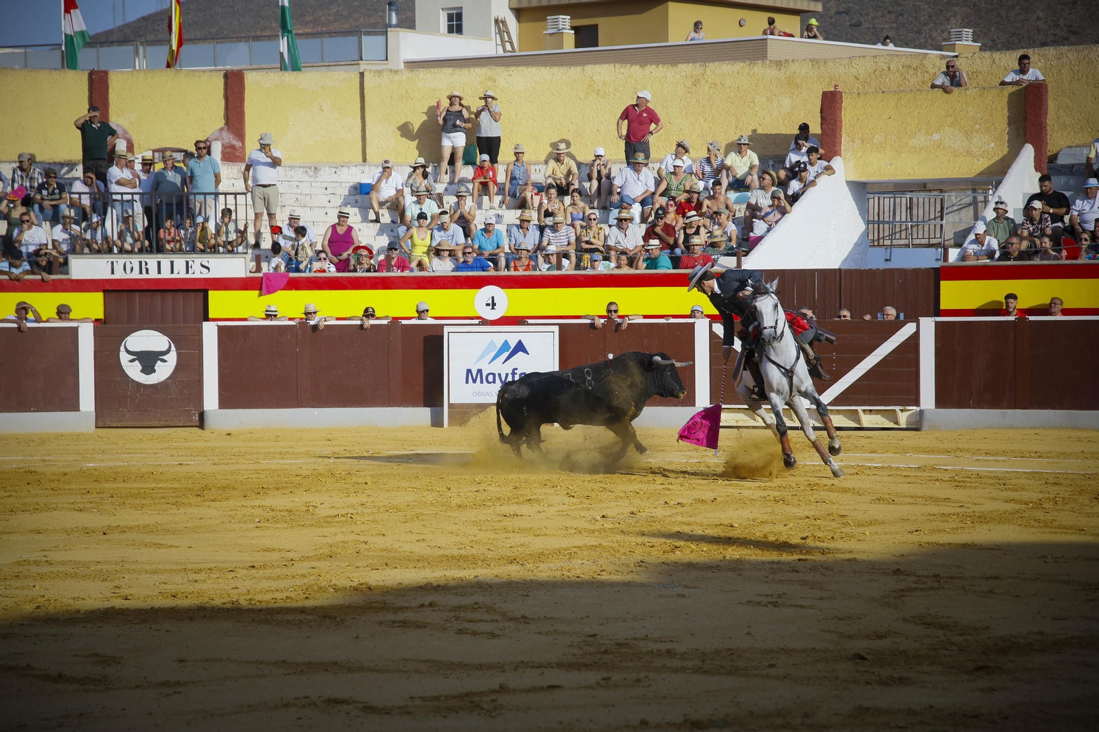 Corrida de toros Berja con un toro indultado, en imágenes