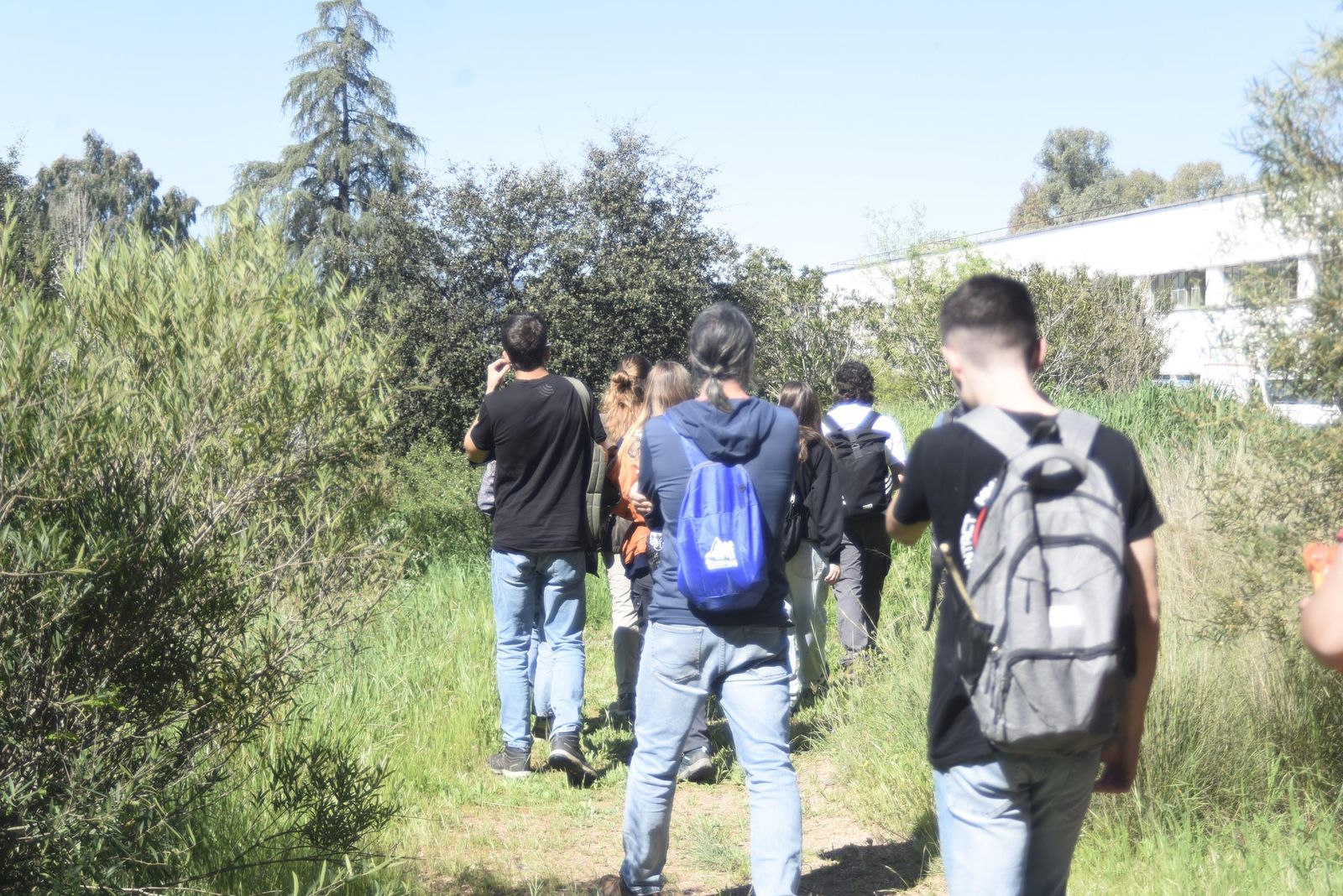 Las mejores imágenes del 'Maratón de identificación de especies' de la Universidad de Córdoba