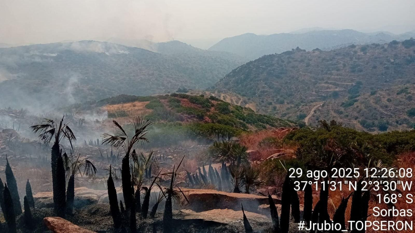 Zona afectada por el incendio de Lubrín.