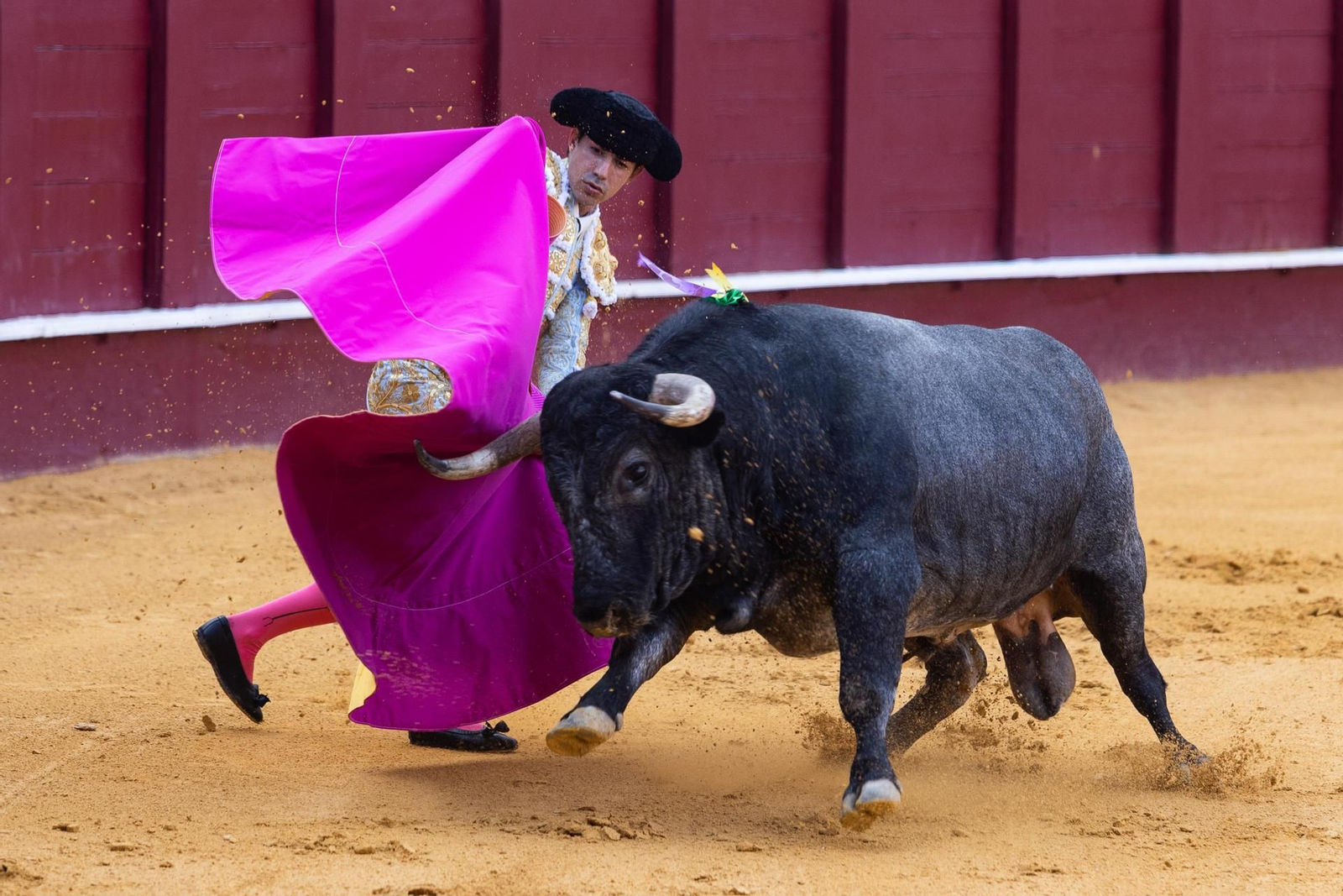 El matador José Antonio Lavado, que este sábado toma la alternativa, durante la lidia de su primer toro.