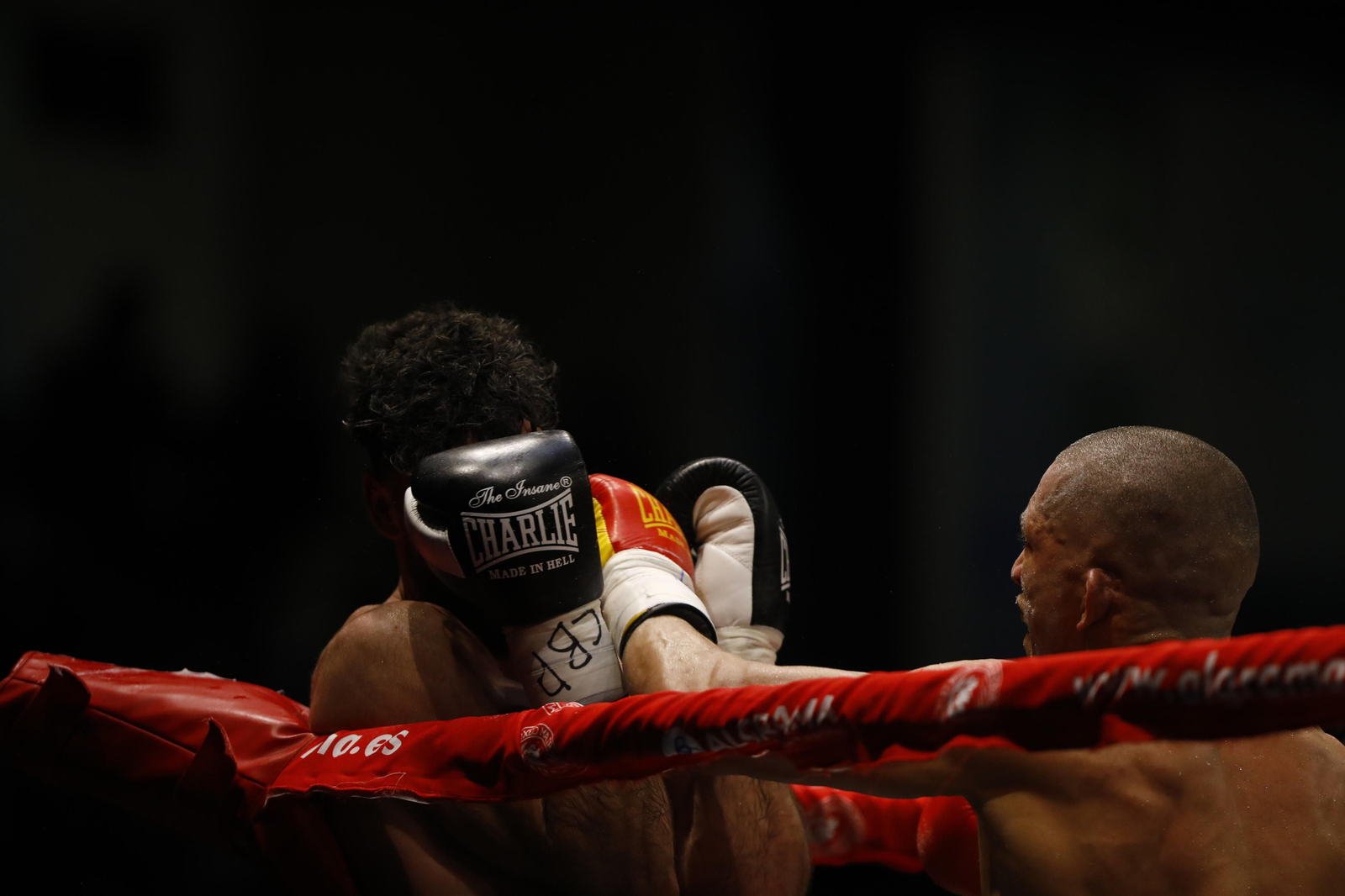 Las imágenes del combate entre José Luis Navarro Jr y Ronny Landaeta en Córdoba