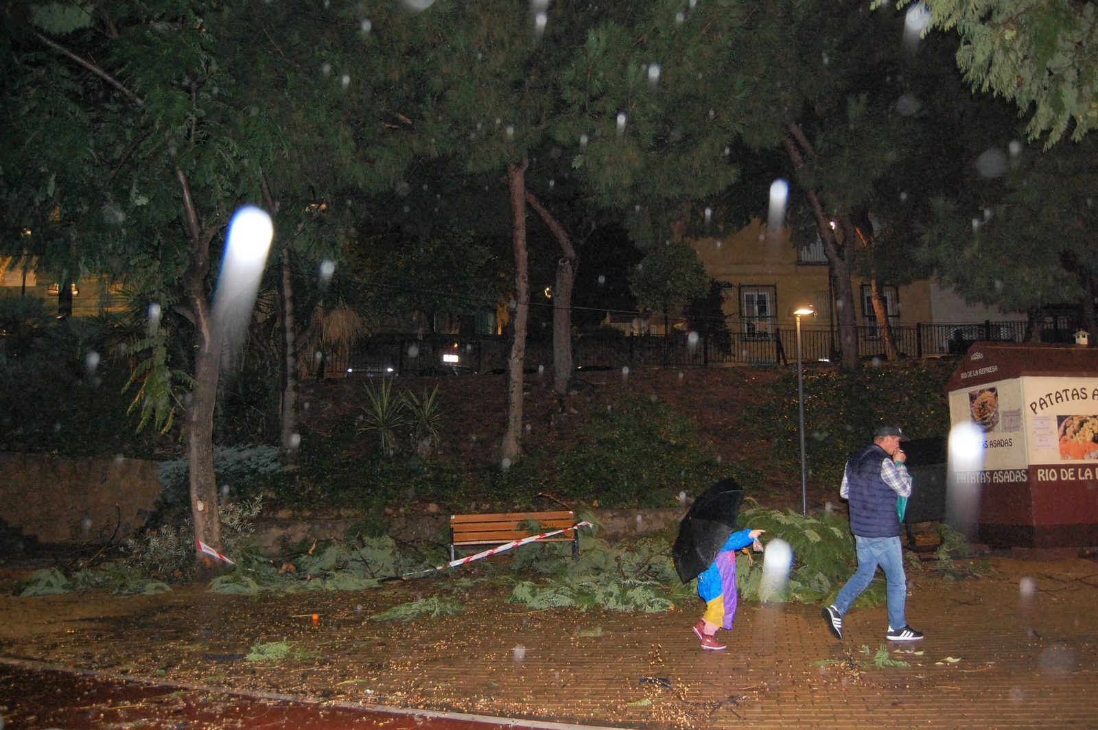 Los restos vegetales tras el paso del tornado por Marbella. Los restos vegetales tras el paso del tornado por Marbella.
