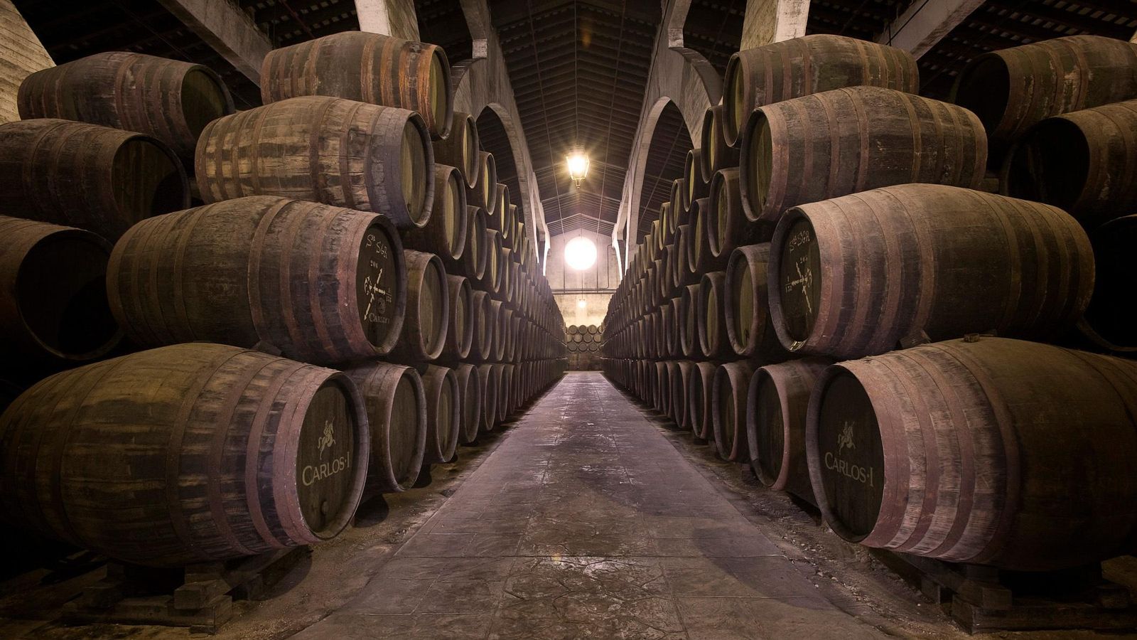 Interior de la bodega.