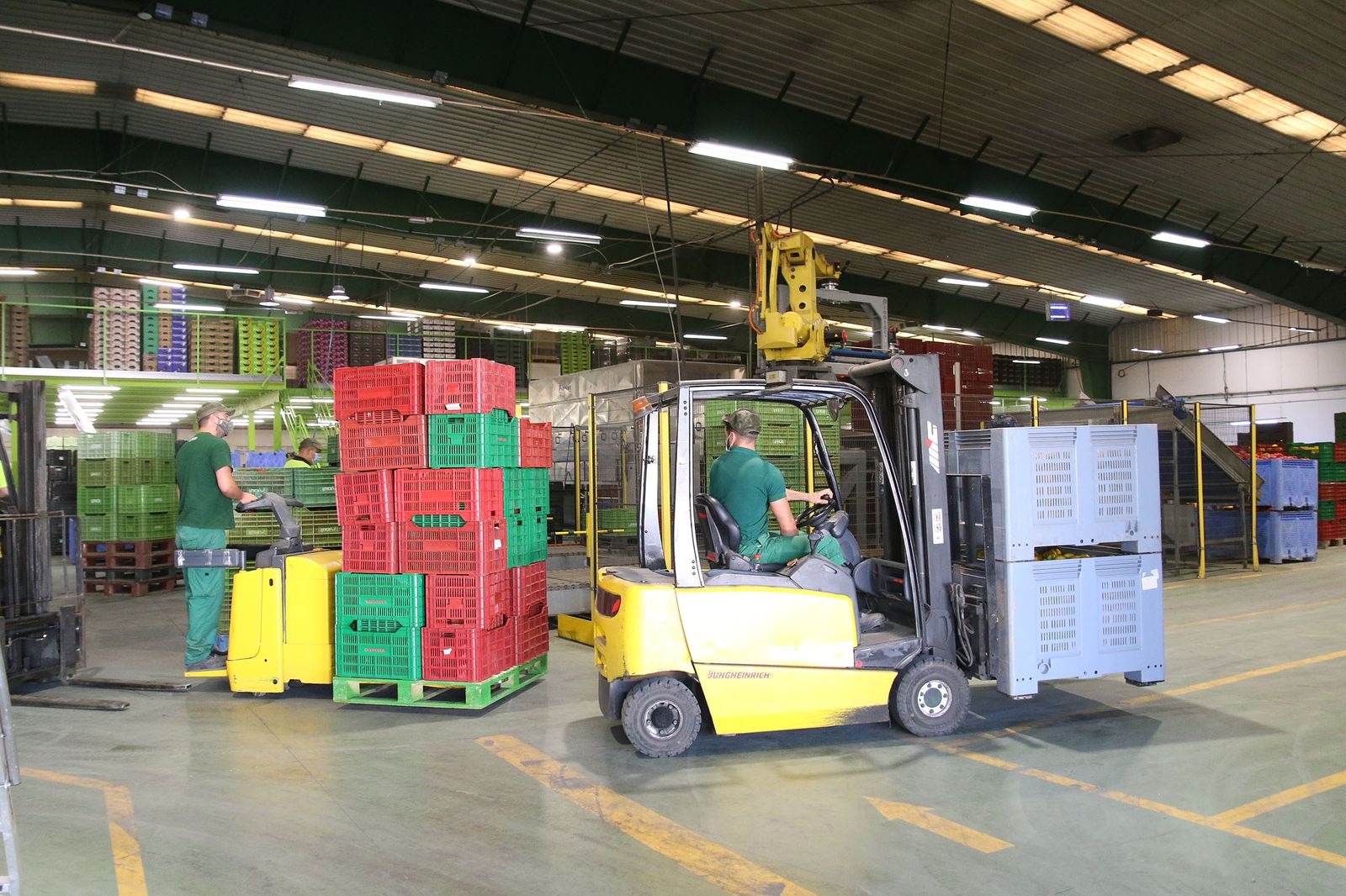 Fotogalería Unica alcanza los 500 millones de kilos