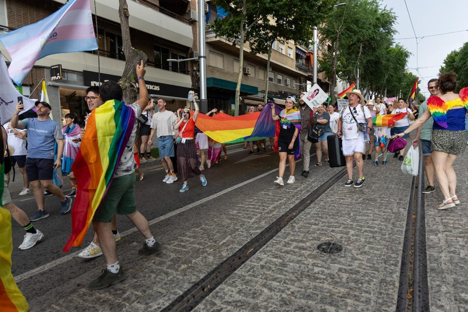 Manifestación del Orgullo LGTBIQA+