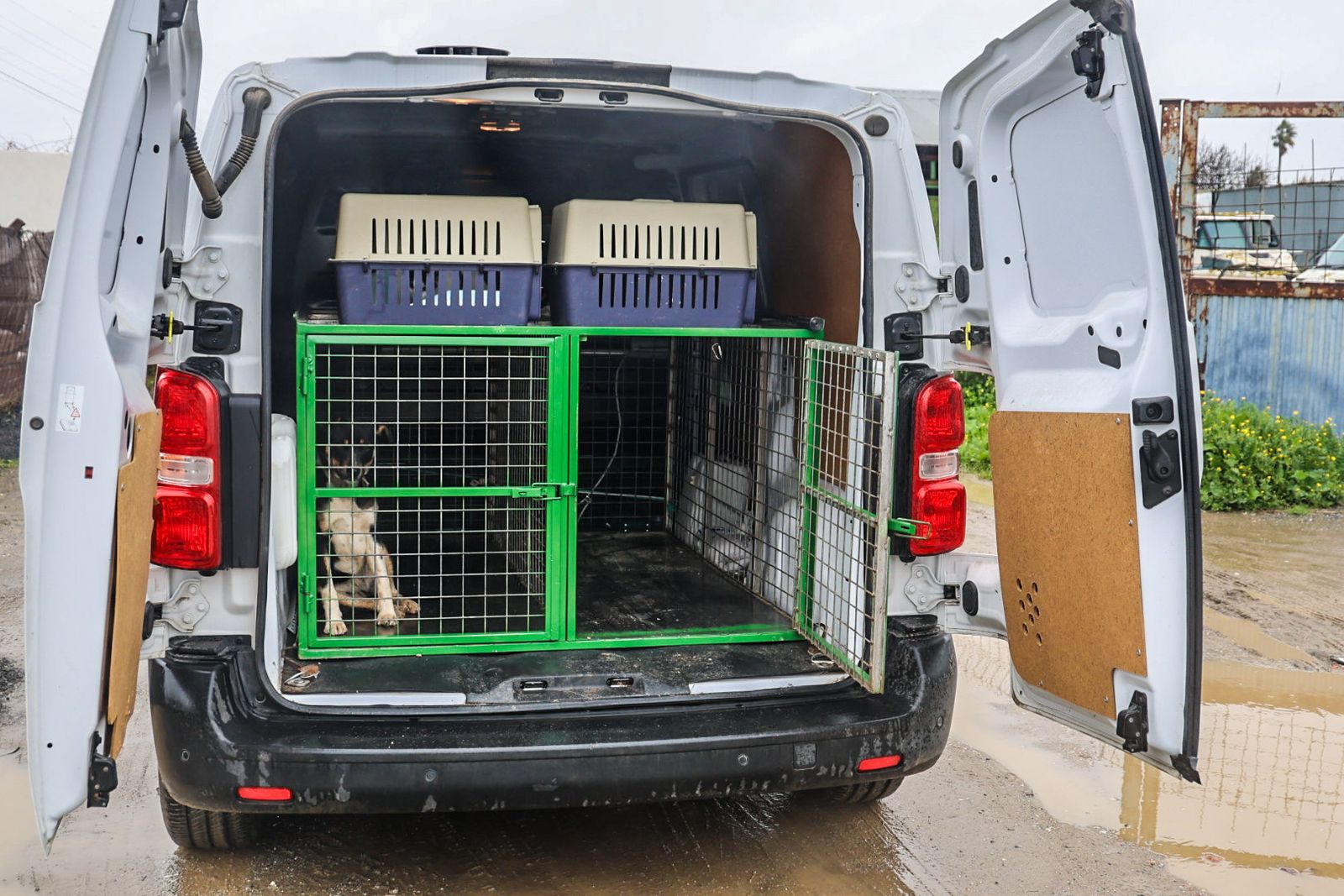 Fotografías del desalojo de familias y animales en Peguerillas por la borrasca Leonardo