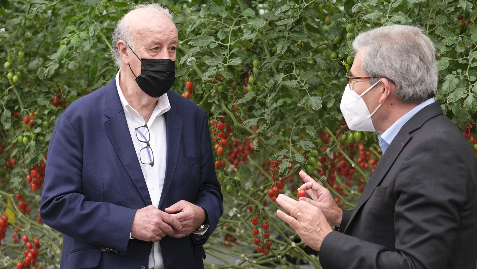 Fotogalería de la visita de Vicente del Bosque a Grupo Caparrós.
