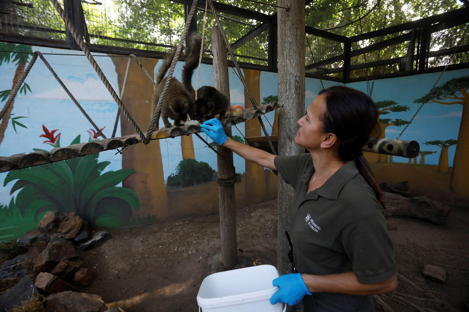 Fotogalería: Así viven los animales del Zoo de Córdoba los meses de verano