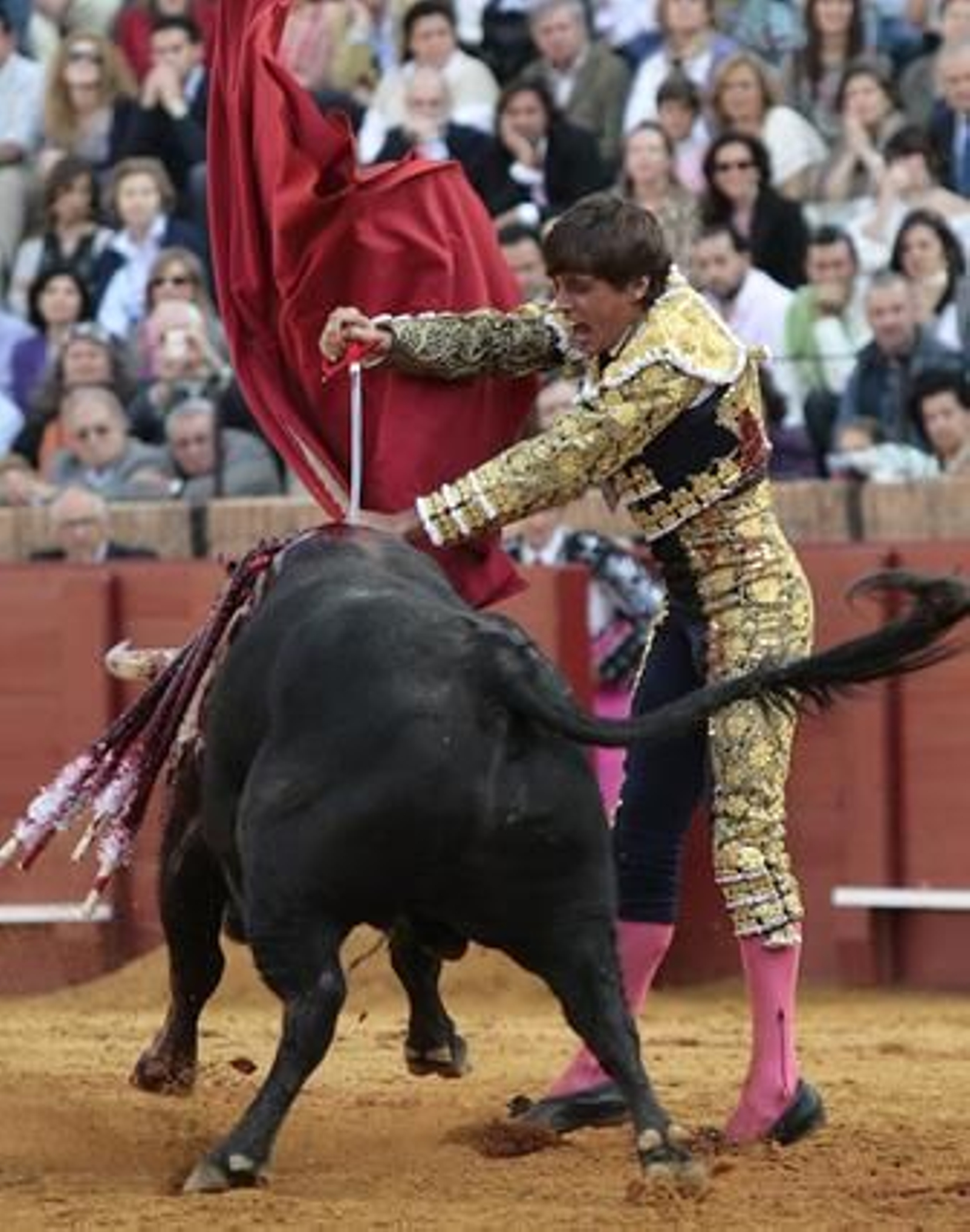El torero andaluz clava su espada al astado.

Foto: Juan Carlos Muñoz