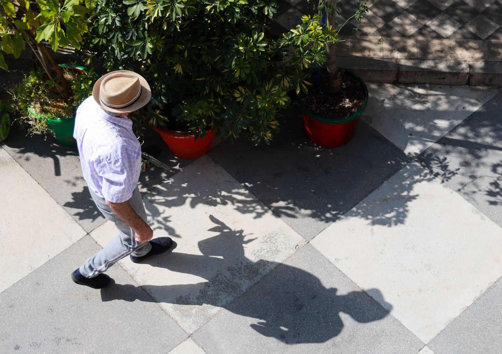Los corralones de El Perchel y La Trinidad de Málaga, en fotografías
