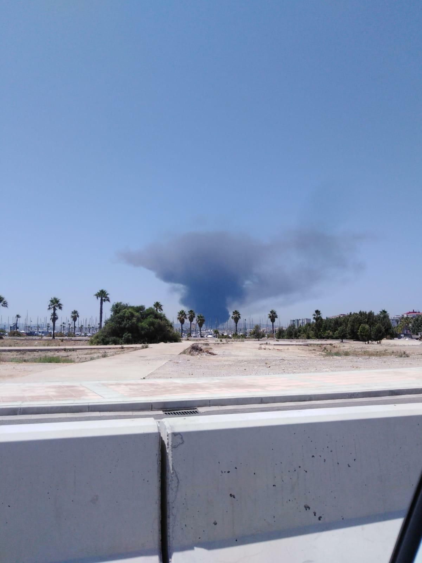 Las imágenes del enorme incendio en la fábrica de Indorama, en el polígono de Guadarranque (San Roque)