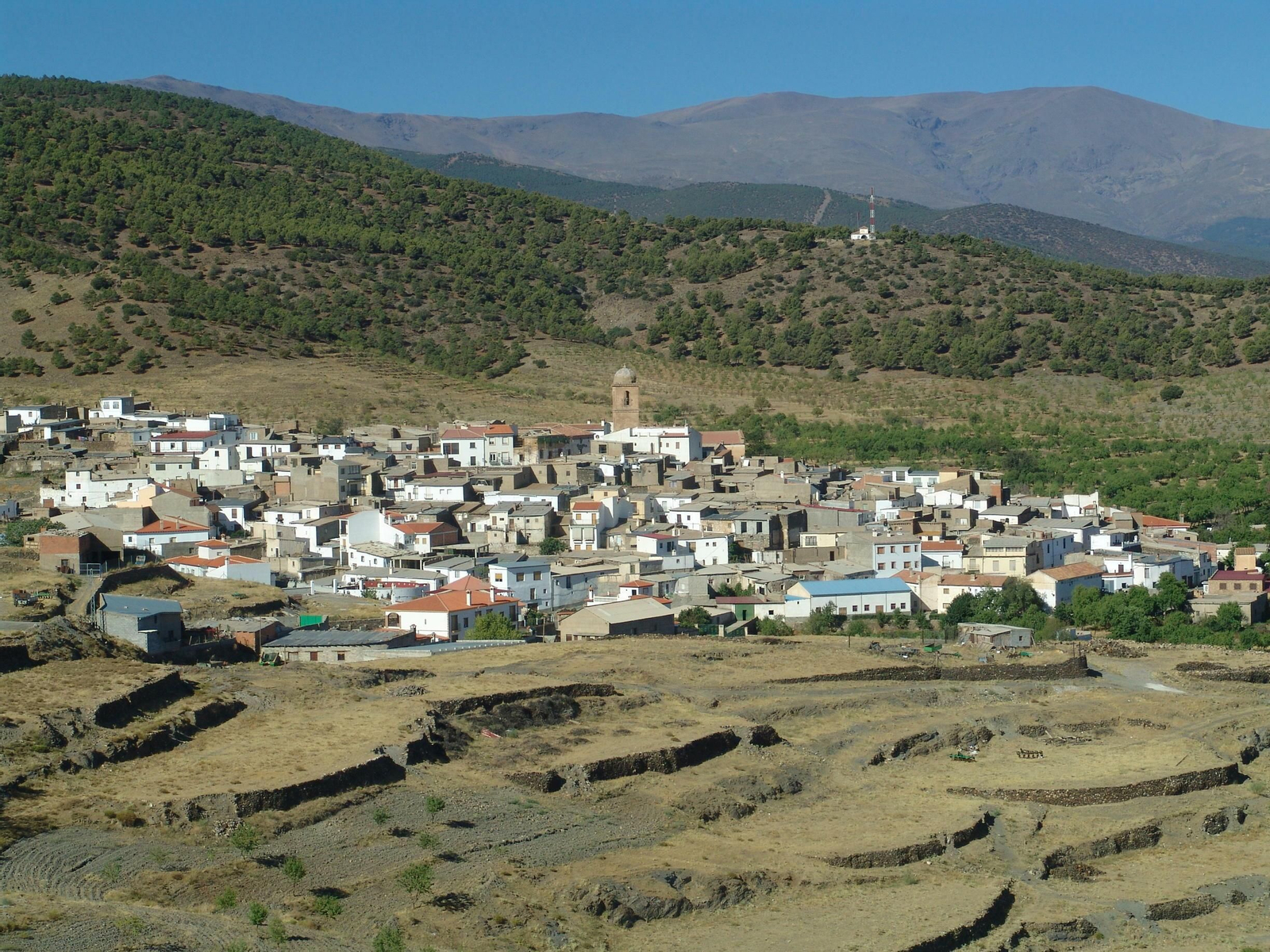 Guadix aprueba en pleno la estructura para la legislatura