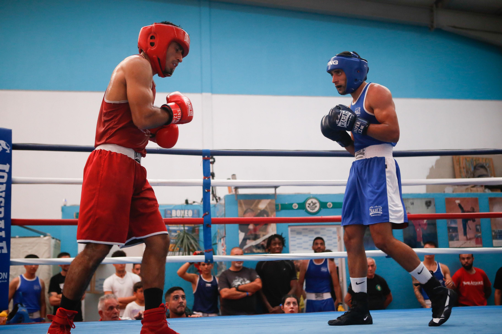 Las fotos de la velada de boxeo Gibraltar-Selección Andaluza en La Línea Las fotos de la velada de boxeo Gibraltar-Selección Andaluza en La Línea