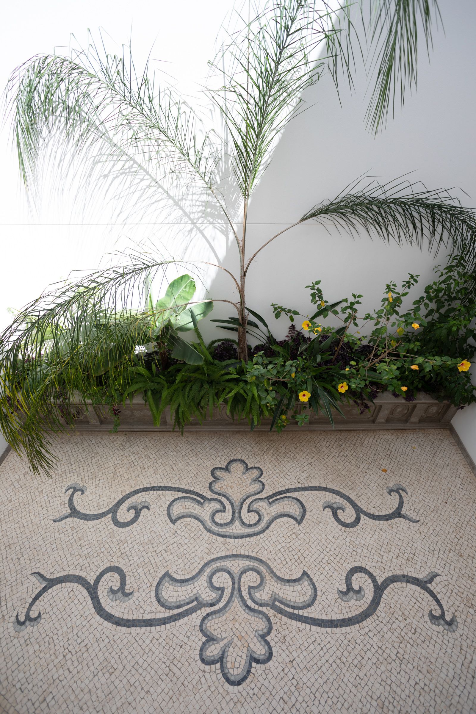 Las imágenes de la casa de Onofre Conde