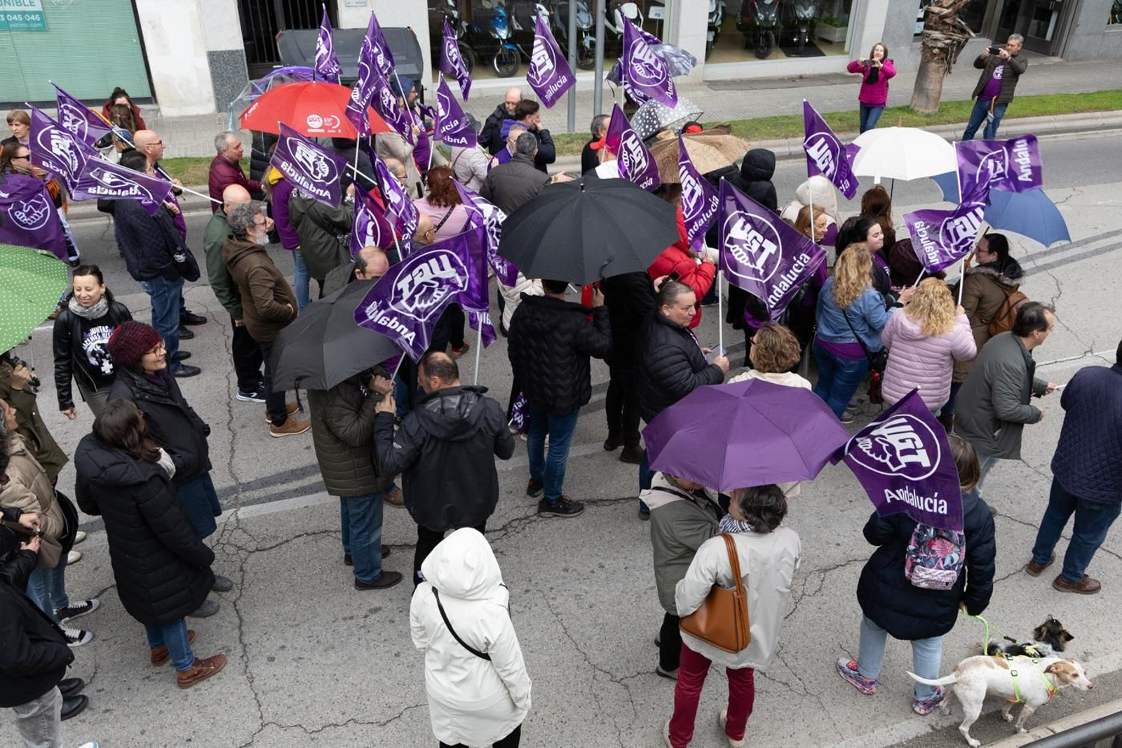 Manifestación del 8M