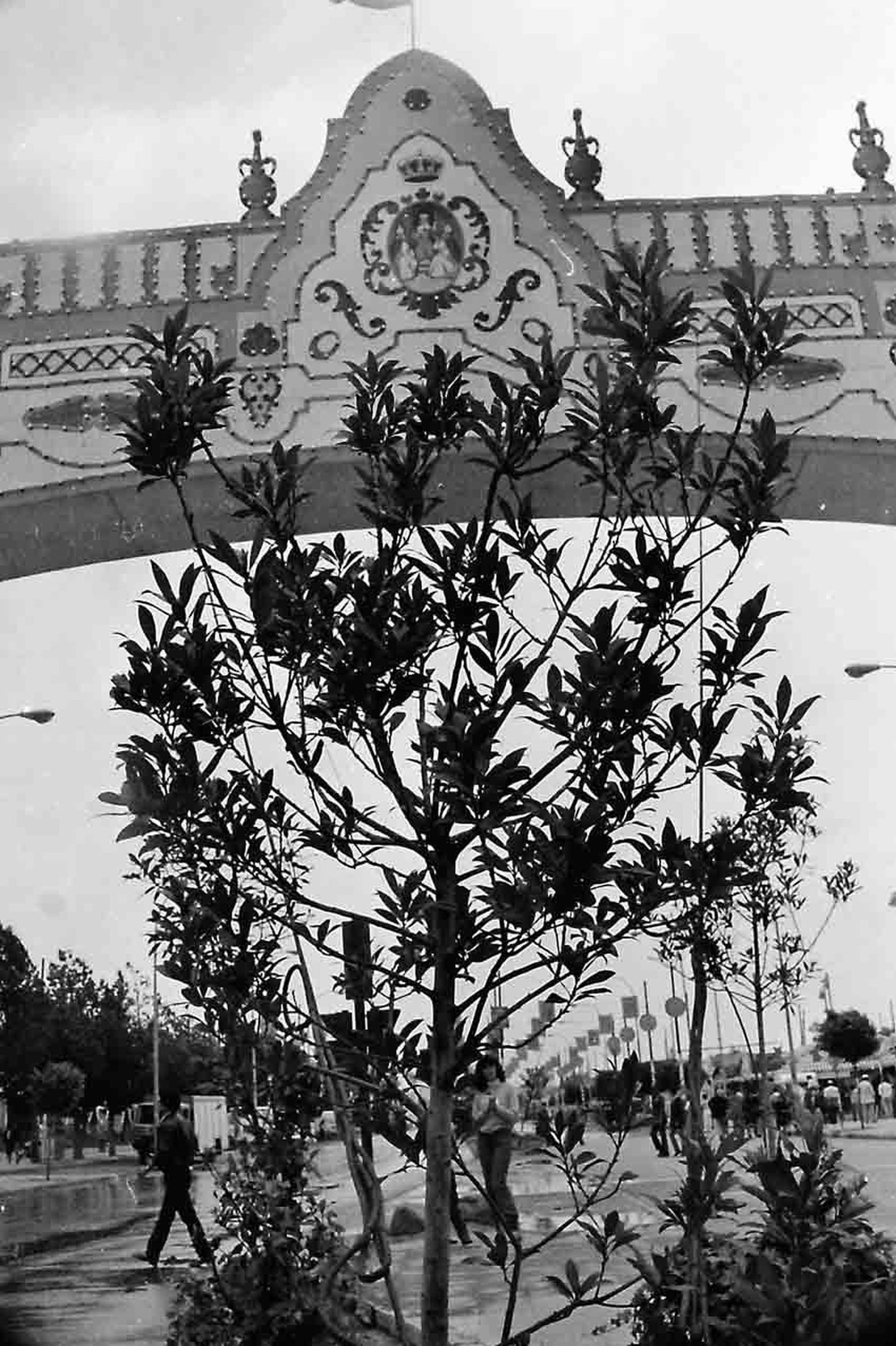 La Feria de los 70: Cosas de la tarde