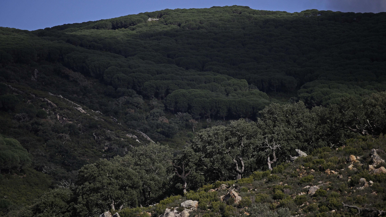 Sendero de la finca Murta en Los Barrios