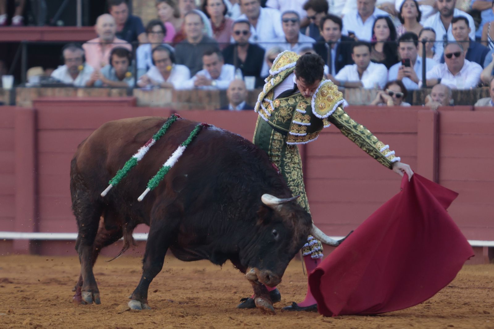 Las imágenes del festejo