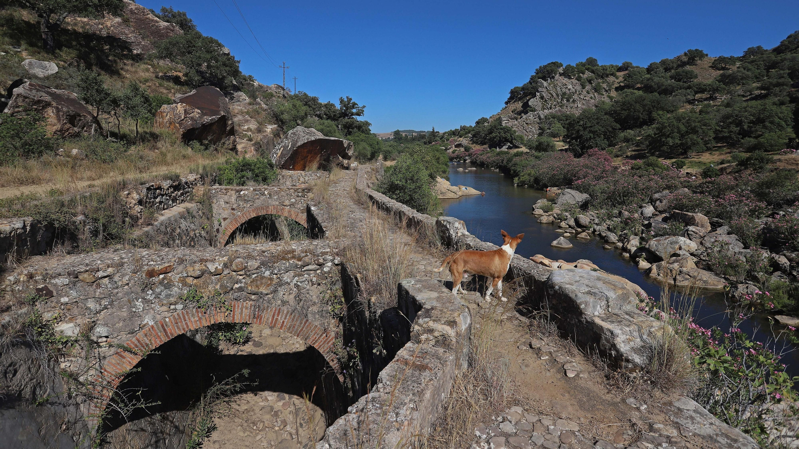 Las mejores fotos del sendero del Río Hozgarganta