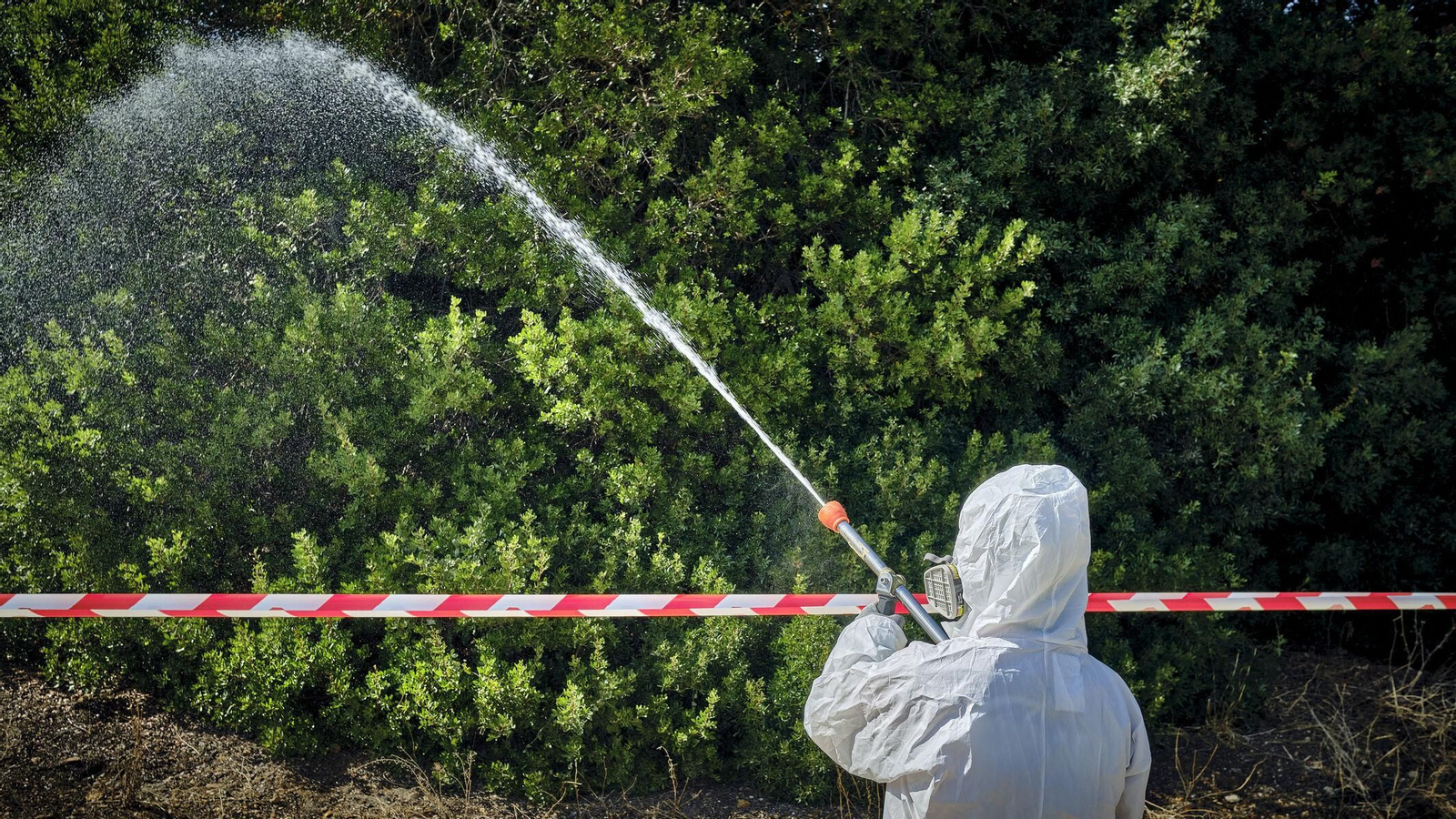 Fumigación contra el virus del Nilo Occidental.