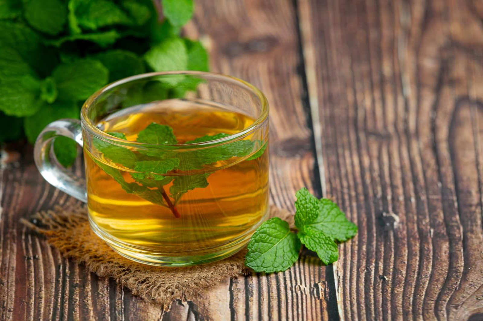 Té de menta