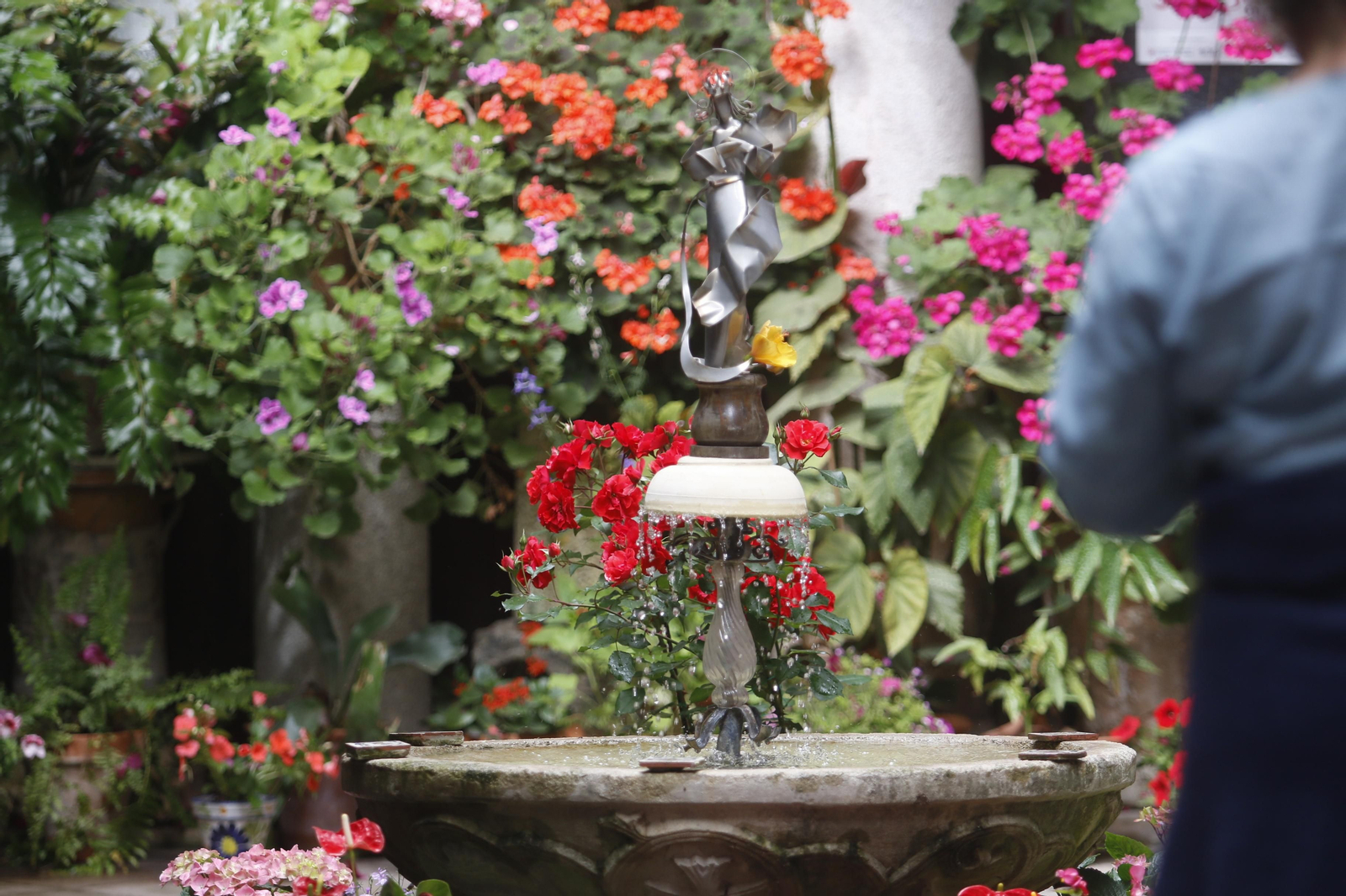 Ruta Santiago - San Pedro de los Patios de Córdoba, en imágenes