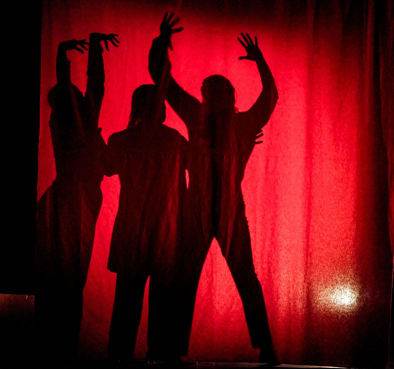 Imágenes de la Compañía de Belén López 'Latidos'