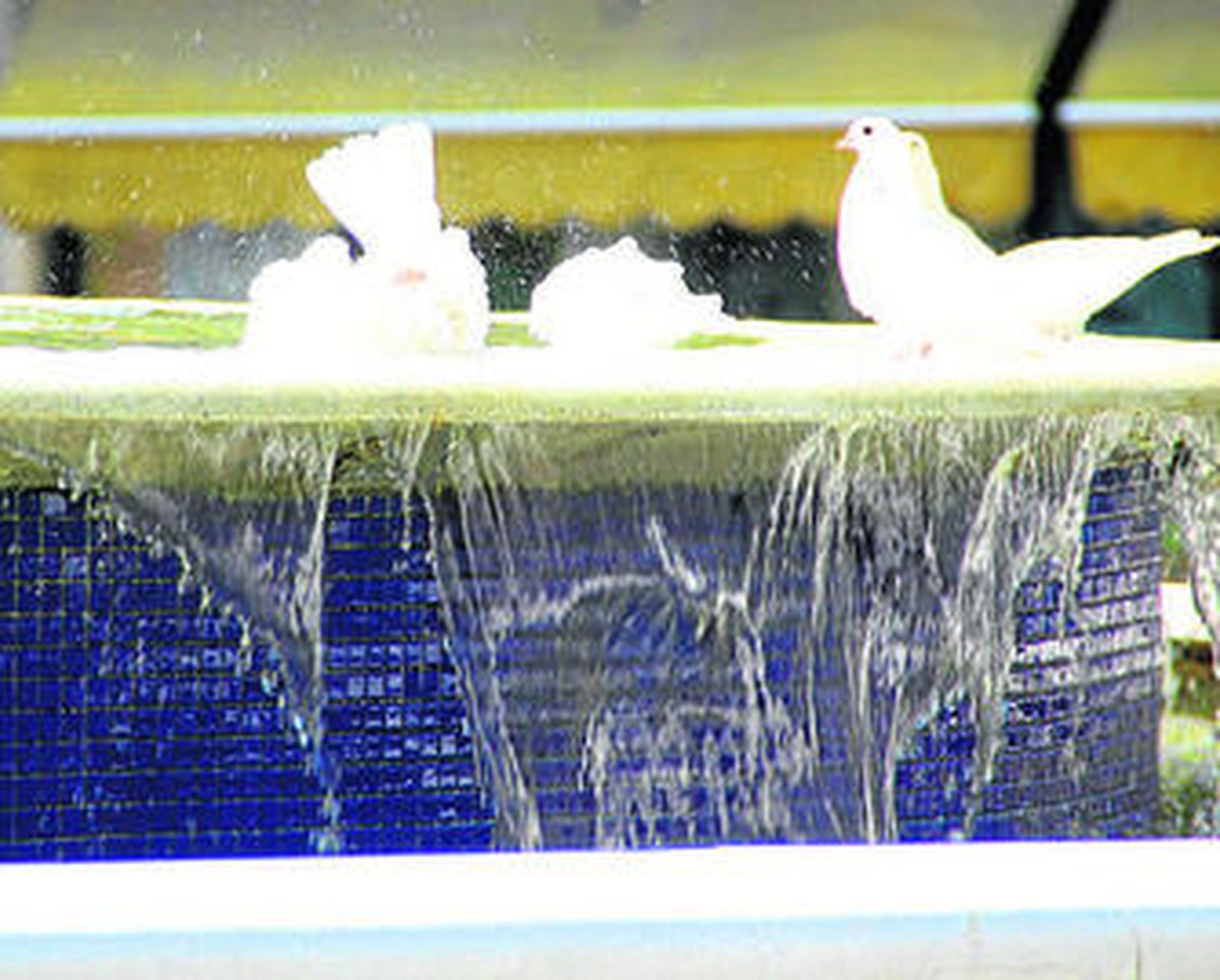 El calor del veranillo del membrillo