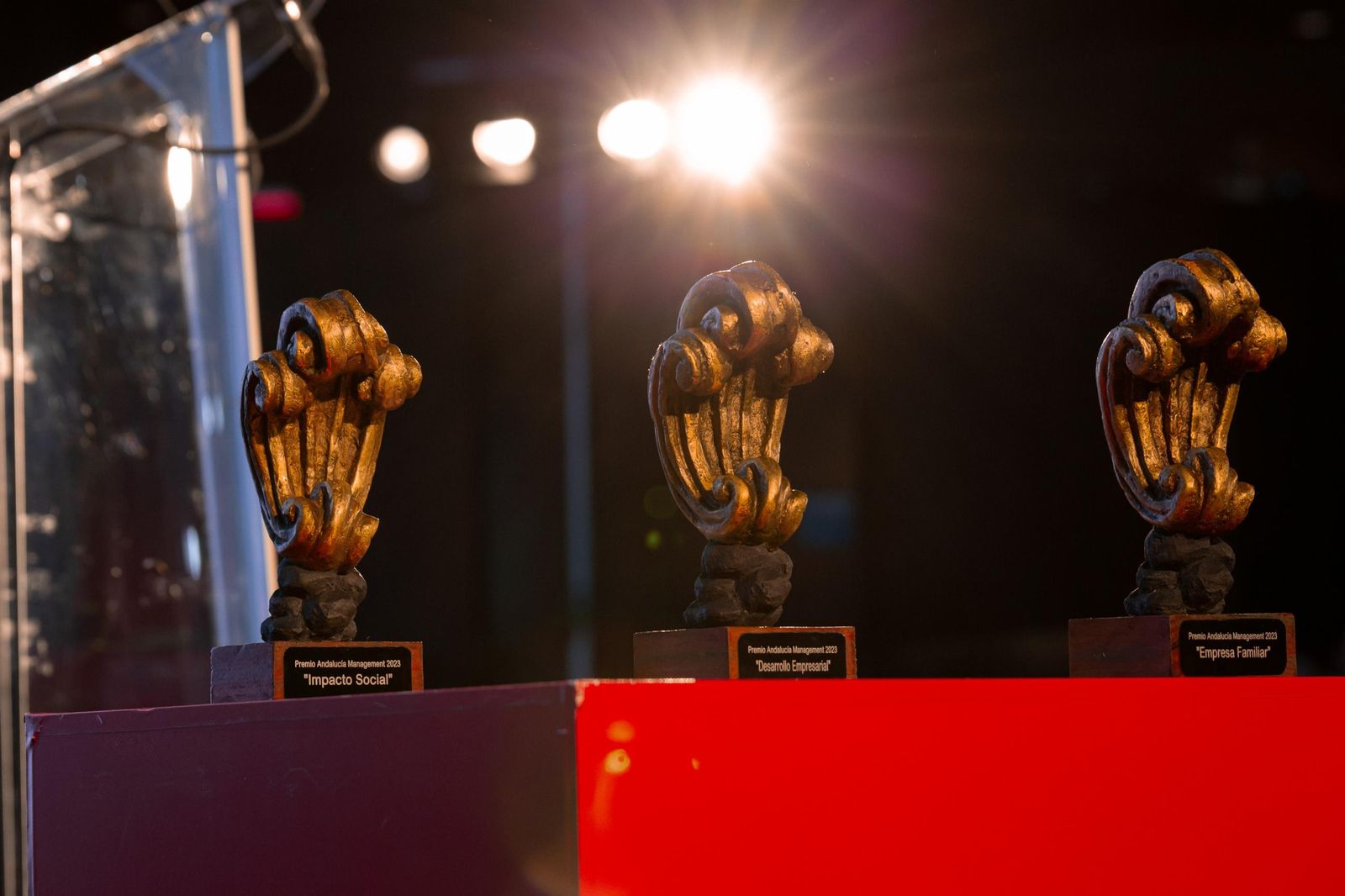 Premio Primaflor AM 2024.